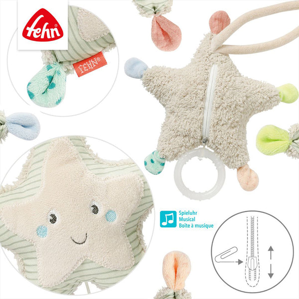 Mini Musical Starfish