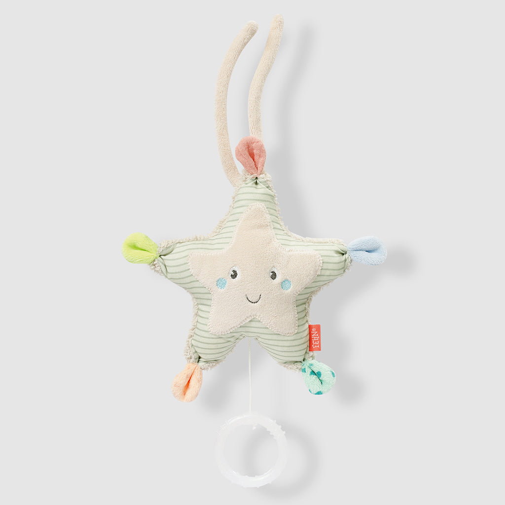Mini Musical Starfish