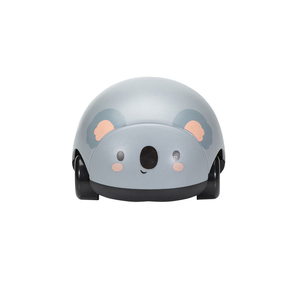 Zoomies / Aussie Animals