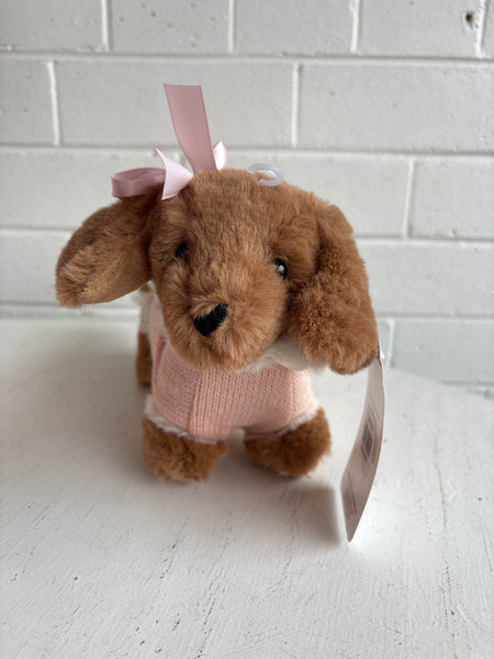 Dalia Dachshund