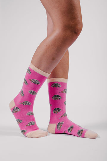 Women's Socks / Are You Echidding Me?