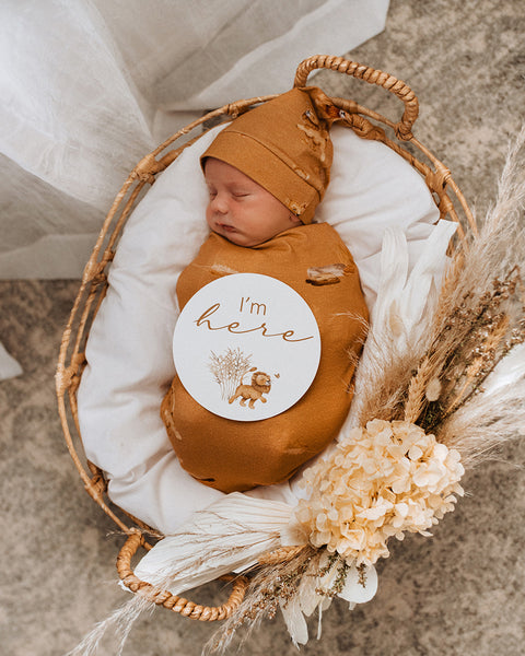 Snuggle Swaddle Set / Roar