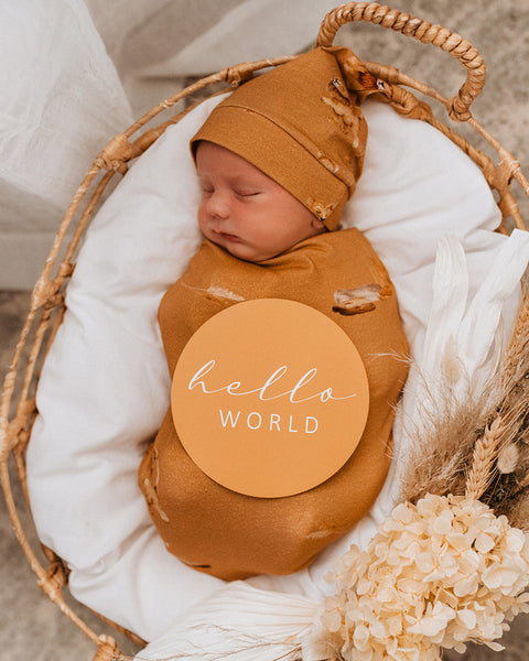 Snuggle Swaddle Set / Roar