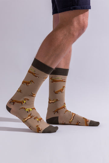 Men's Socks / You Look Dachshing